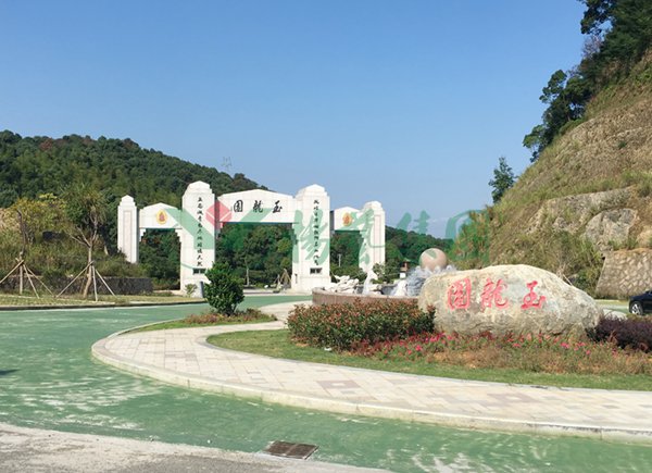 1-22020Q1214D06 ng电子游戏·(中国区)官方网站