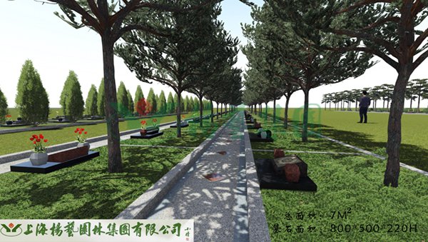 1-22020Q34044560 ng电子游戏·(中国区)官方网站