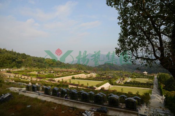 1-220209110423W1 ng电子游戏·(中国区)官方网站
