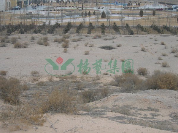 1-220209163FV57 ng电子游戏·(中国区)官方网站