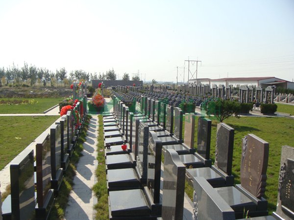 1-2202101406342B ngµç×ÓÓÎÏ·¡¤(ÖйúÇø)¹Ù·½ÍøÕ¾