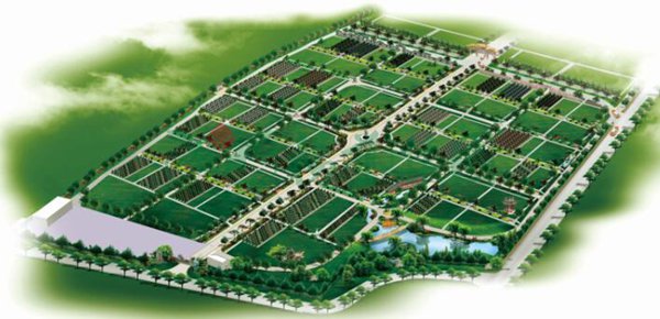 1-2202101600459D ng电子游戏·(中国区)官方网站
