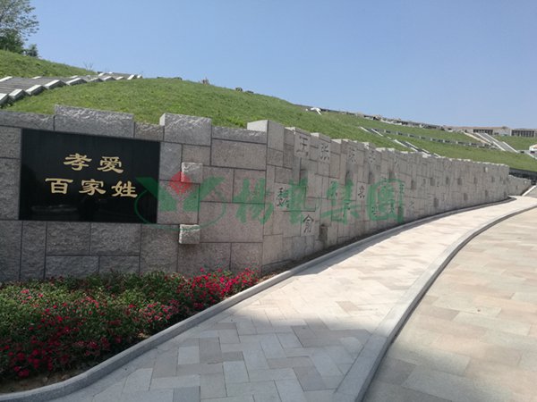1-2202140RSIY ng电子游戏·(中国区)官方网站