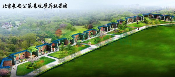 1-220222151055195 ng电子游戏·(中国区)官方网站