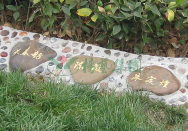 1-2202221530334C ng电子游戏·(中国区)官方网站