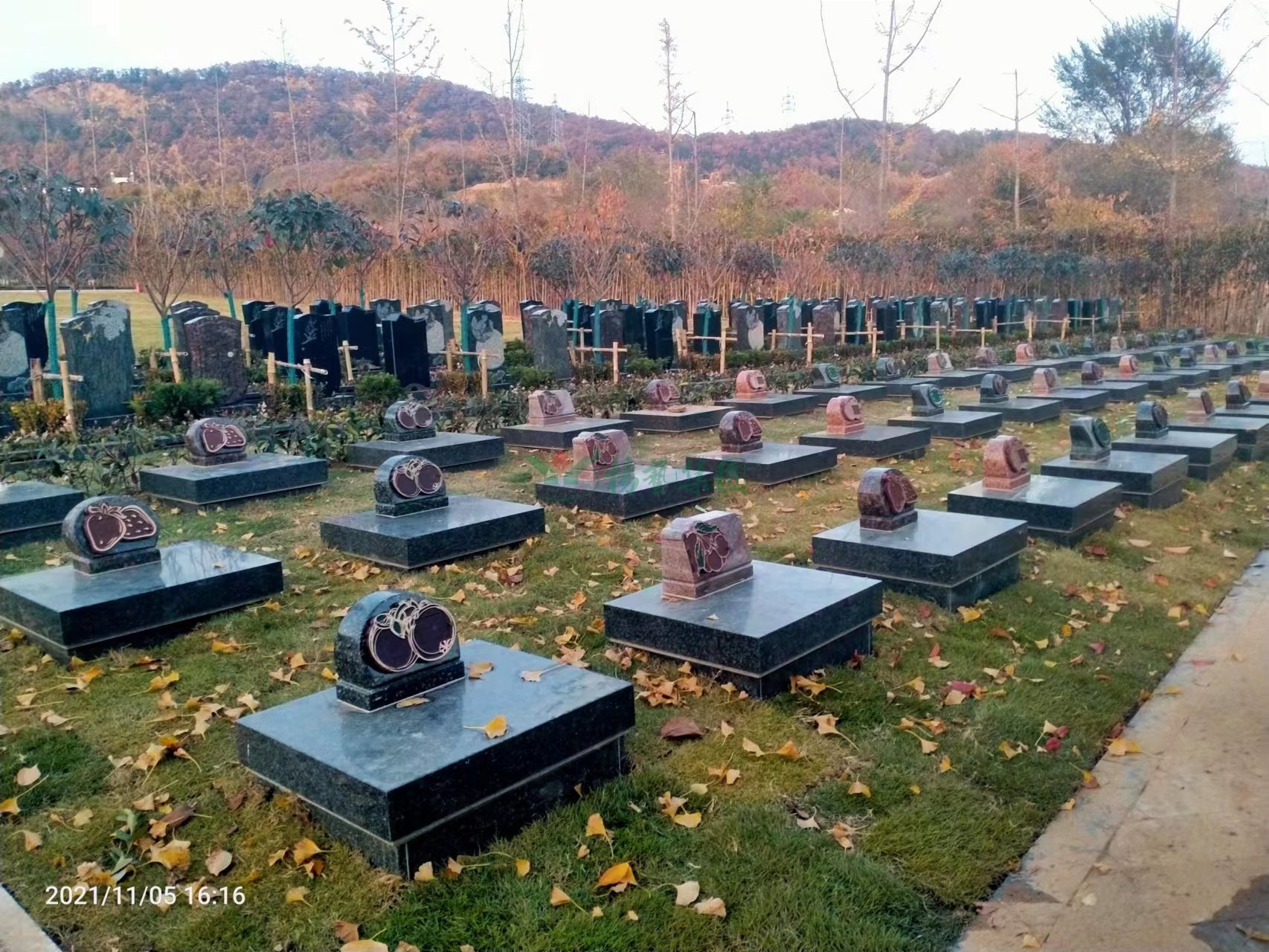 1-22052G405053P ngµç×ÓÓÎÏ·¡¤(ÖйúÇø)¹Ù·½ÍøÕ¾