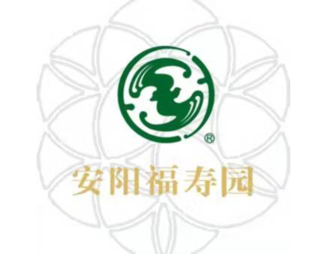 1-21121Q31556102 ng电子游戏·(中国区)官方网站