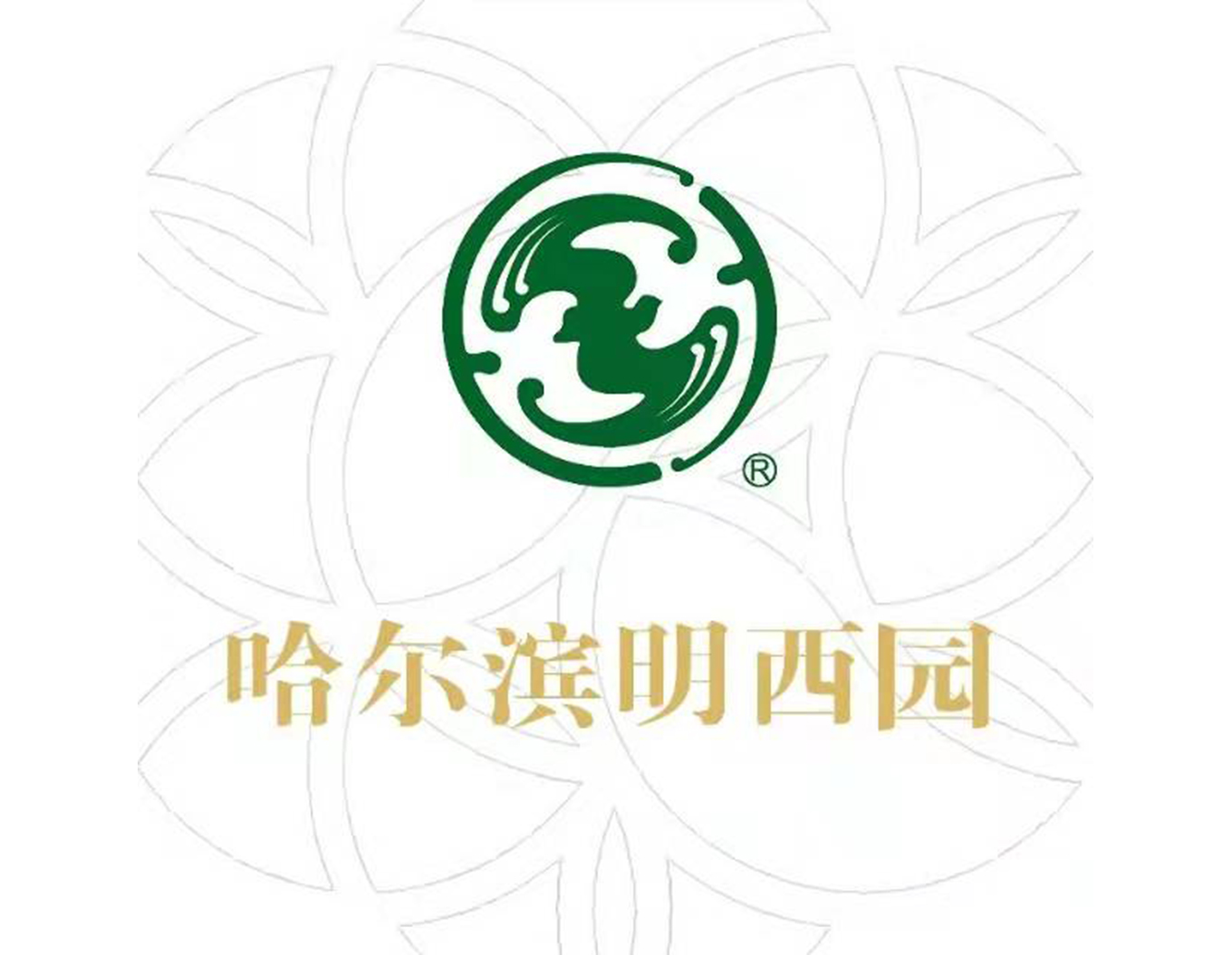 1-21121Q31ST95 ng电子游戏·(中国区)官方网站