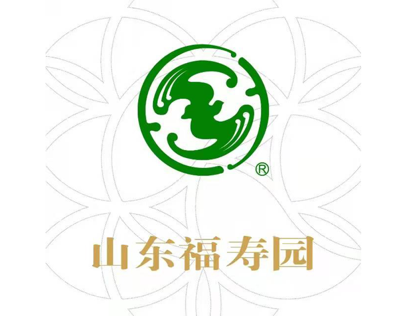 1-21121Q3231E50 ng电子游戏·(中国区)官方网站