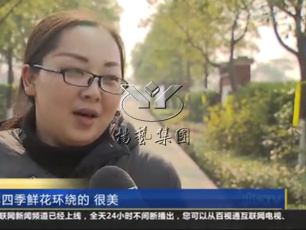 1-2112231553163P ng电子游戏·(中国区)官方网站