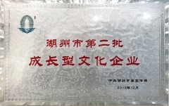 2018.12 �����еڶ����ɳ����Ļ���ҵ