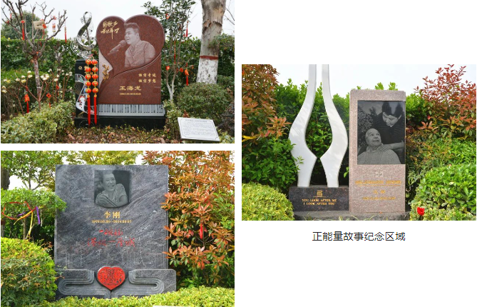 1-220S10TT4614 ng电子游戏·(中国区)官方网站