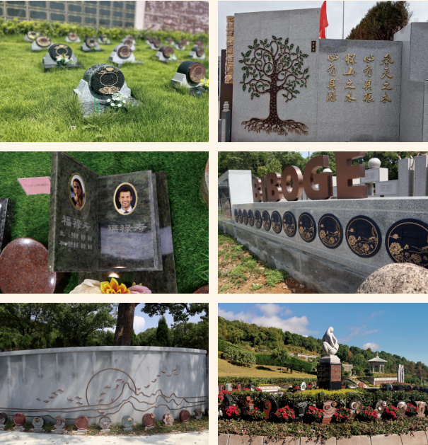 1-230926155IKT ng电子游戏·(中国区)官方网站