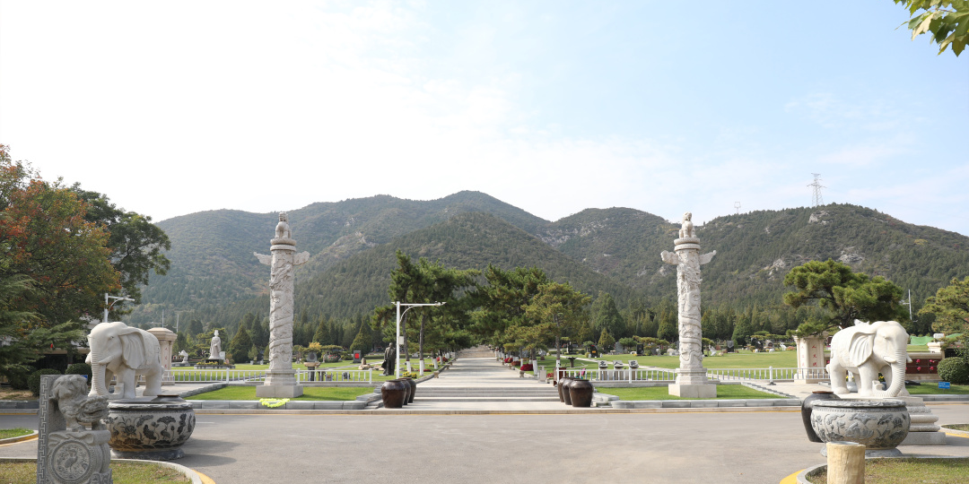 ng������Ϸ��(�й���)�ٷ���վ