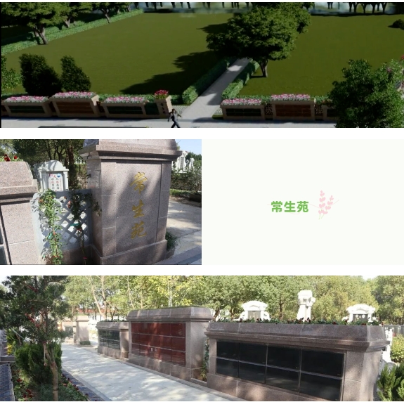 1-240130133F6438 ng电子游戏·(中国区)官方网站