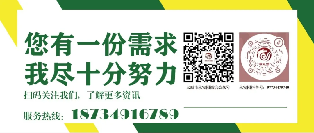 1-240615110356491 ng电子游戏·(中国区)官方网站
