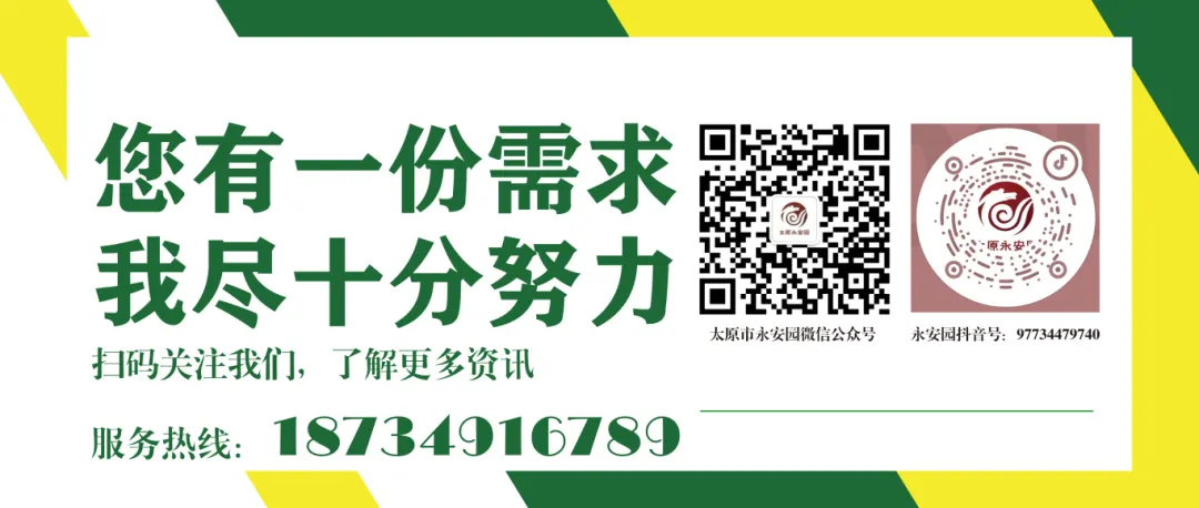 1-240622095114V6 ngµç×ÓÓÎÏ·¡¤(ÖйúÇø)¹Ù·½ÍøÕ¾