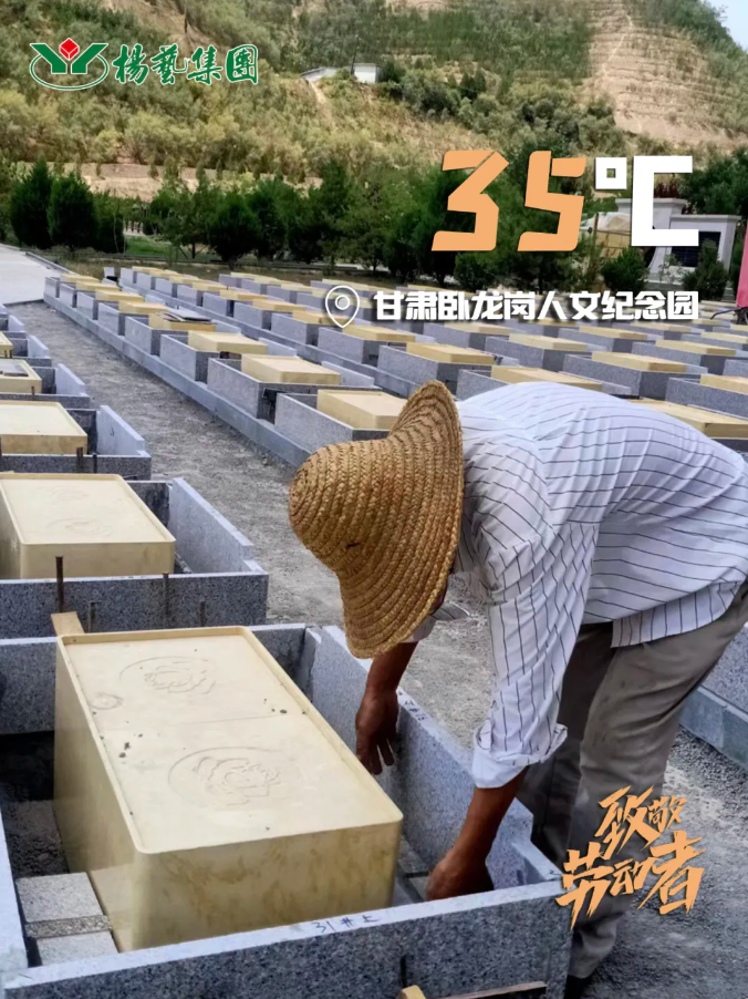 1-240H9135P5K1 ng电子游戏·(中国区)官方网站