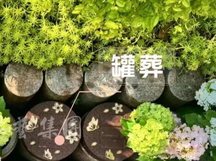 1-240H914331U58 ng电子游戏·(中国区)官方网站