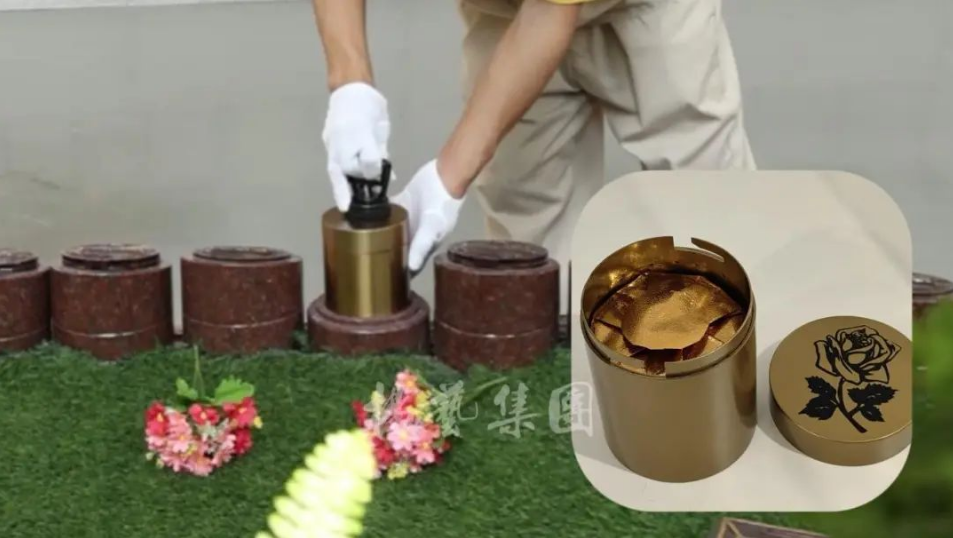 1-240H9143332149 ng电子游戏·(中国区)官方网站