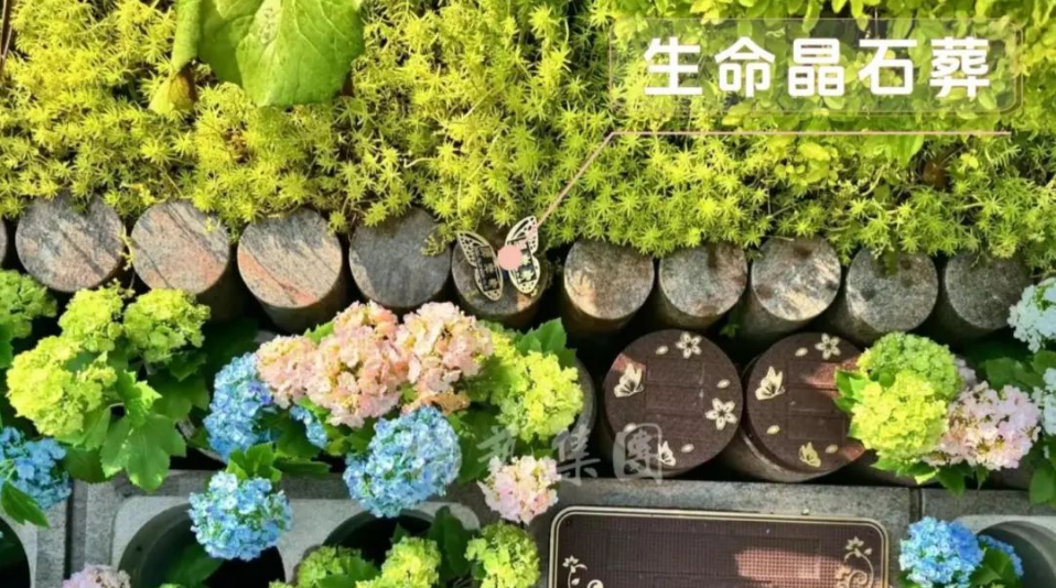 1-240H914334D49 ng电子游戏·(中国区)官方网站