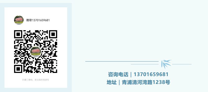 1-240ZG10009162 ng电子游戏·(中国区)官方网站