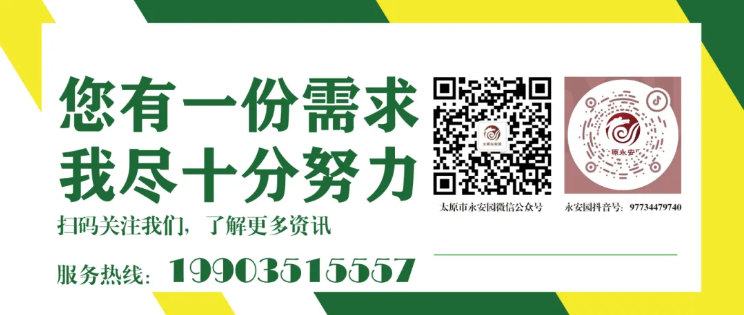 1-2409120ZI9327 ng电子游戏·(中国区)官方网站