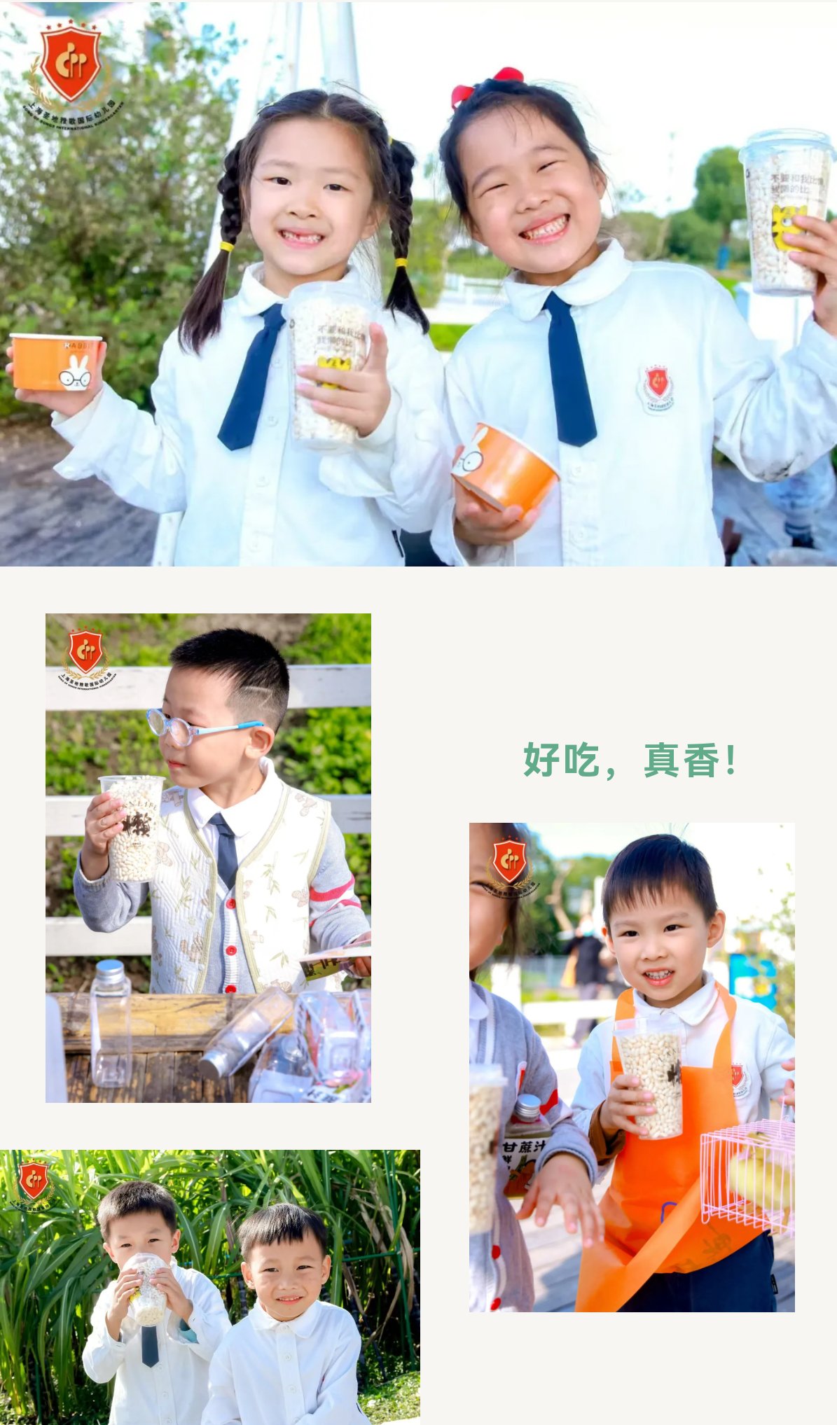 1-241112105540A7 ng电子游戏·(中国区)官方网站