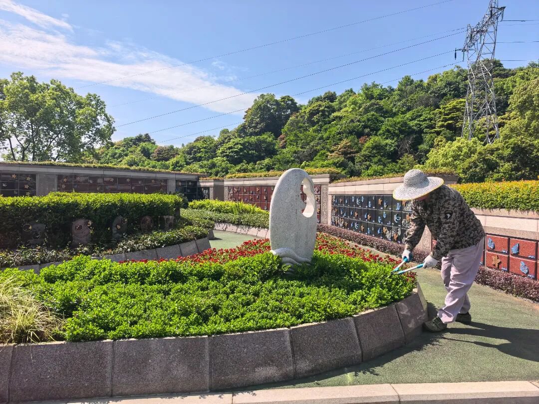 ng������Ϸ��(�й���)�ٷ���վ