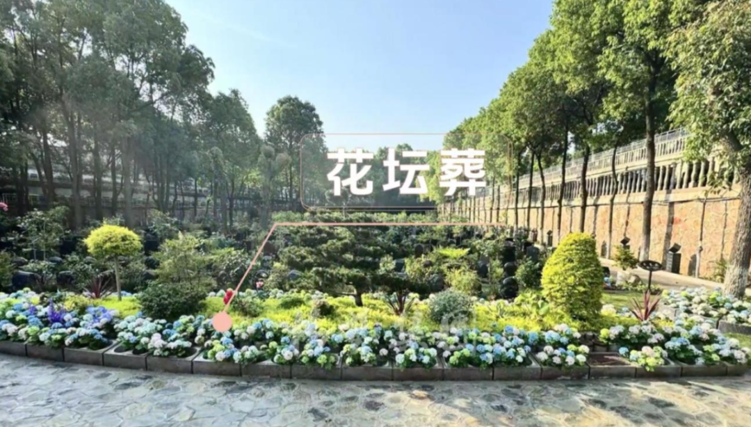 1-260521150550W0 ng电子游戏·(中国区)官方网站