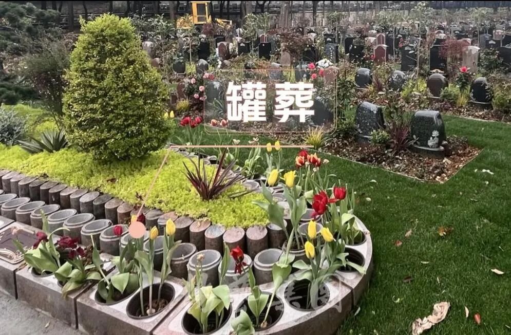 1-26052115062L00 ng电子游戏·(中国区)官方网站