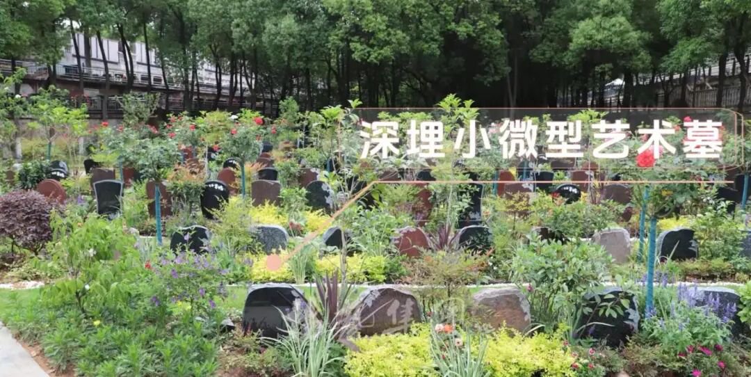 1-260521150935H6 ng电子游戏·(中国区)官方网站