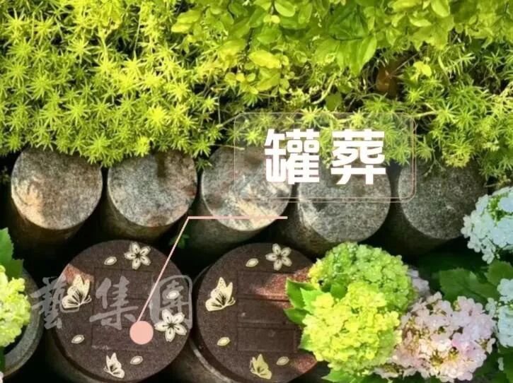 1-260521150H13V ng电子游戏·(中国区)官方网站